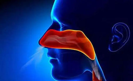 一周内确诊两例，鼻咽癌到底离我们有多远？